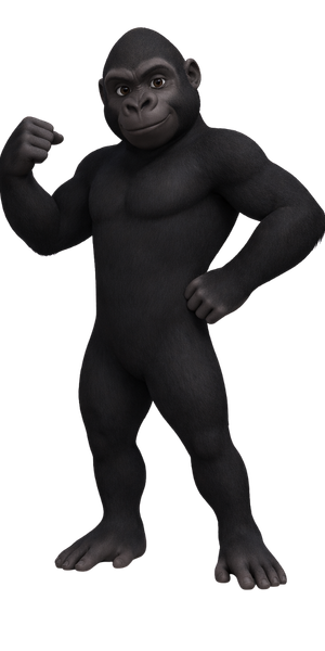 Gorilla